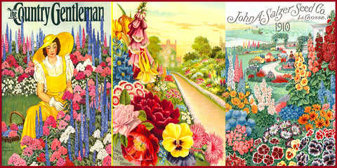 Flower Gardens 1881-1941