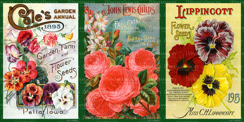 Flowers & Seed Packets 1888-1925