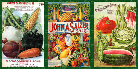Vegetables & Can Labels 1877-1930