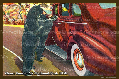 Great Smoky Mountains Postcard 1930 - 24