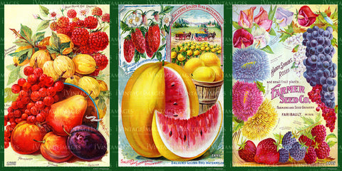 Fruits & Fruit Labels 1895-1925