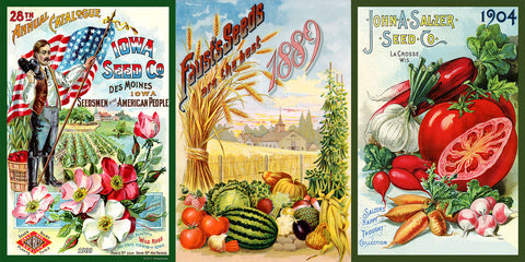 Vegetable Gardens 1881-1944