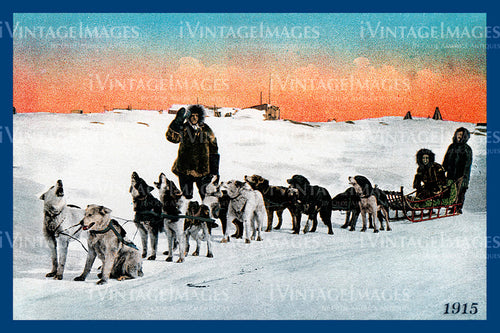 Alaska Dog Sled - 1915- 006
