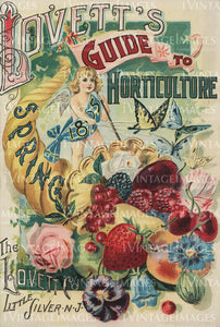 1895 Flower Catalog Cover - 004