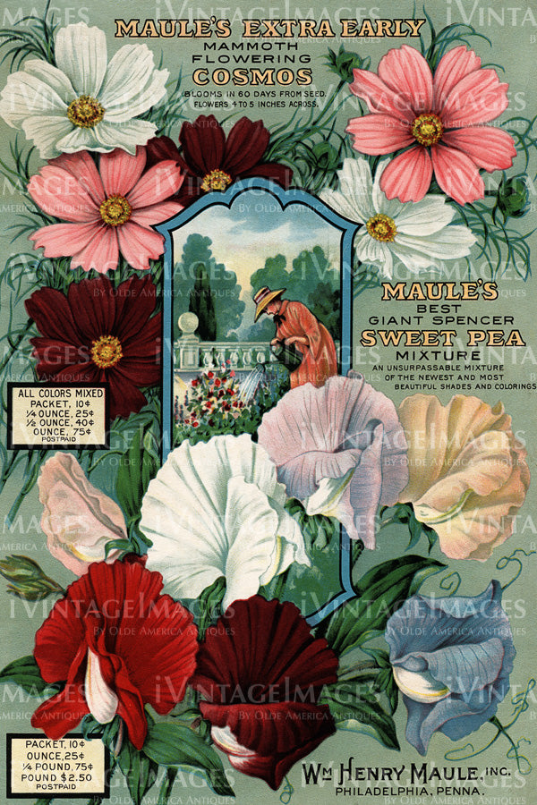 1895 Flower Catalog Print - 005