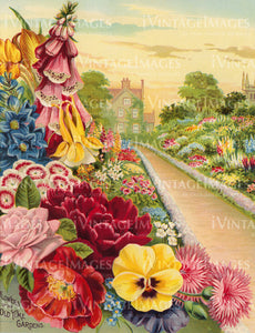 1901 Flower Catalog Print - 006