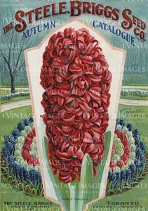 1907 Flower Catalog Cover - 007