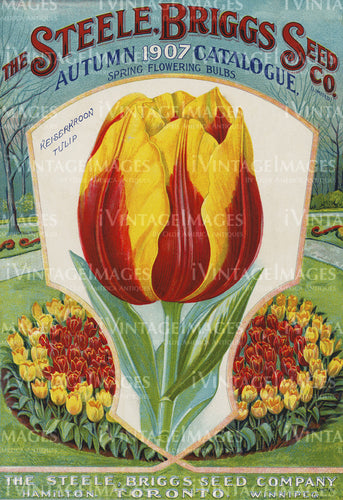 1907 Flower Catalog Cover - 008