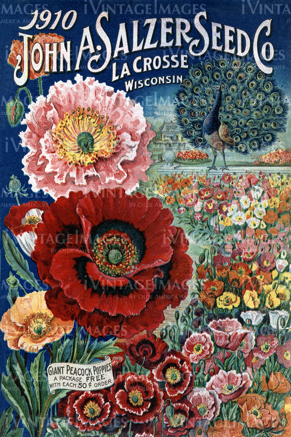 1910 Flower Catalog Cover - 009