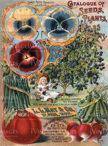 1894 Fruit Catalog Cover -041