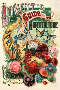 1895 Fruit Catalog Cover -042