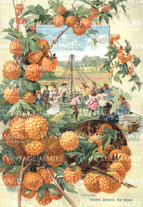 1895 Fruit Catalog Print -044