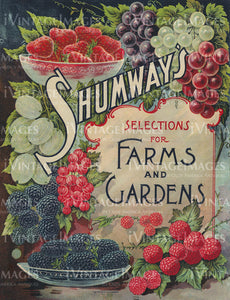 1903 Fruit Catalog Cover -048