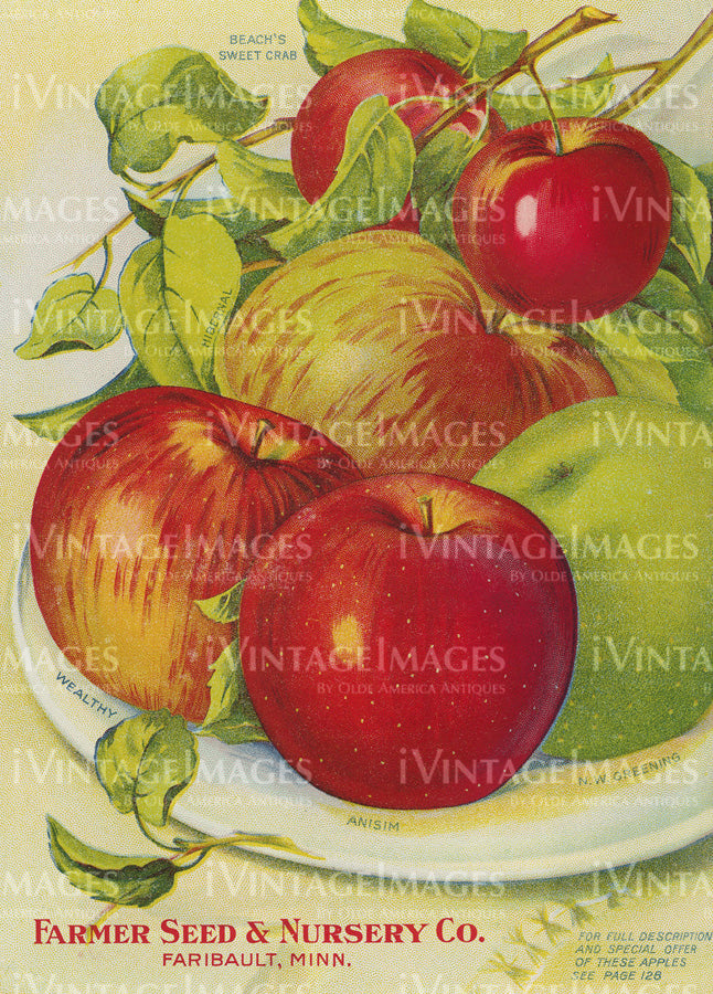 1914 Fruit Catalog Print -049