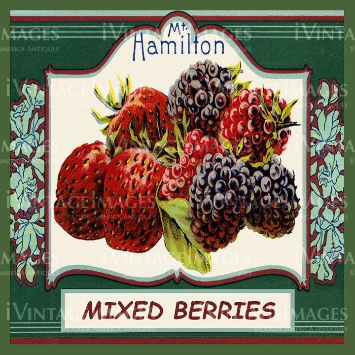 1915 Mixed Berries - 053