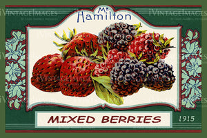 1915 Mixed Berries - 054