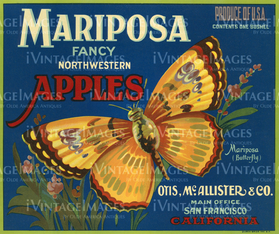 1925 Apples - 060
