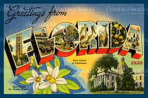 Florida Large Letter 1930 - 3