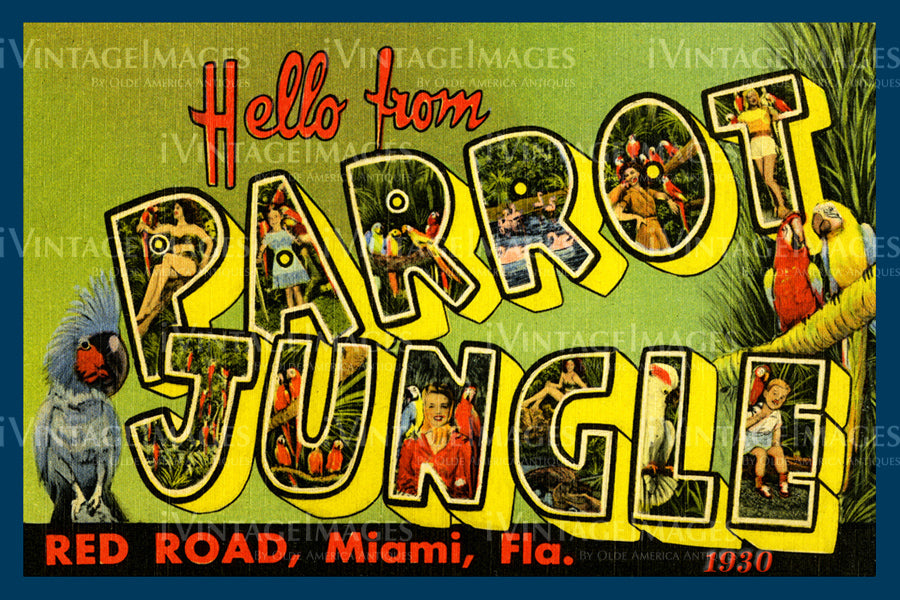 Parrot Jungle Large Letter 1930