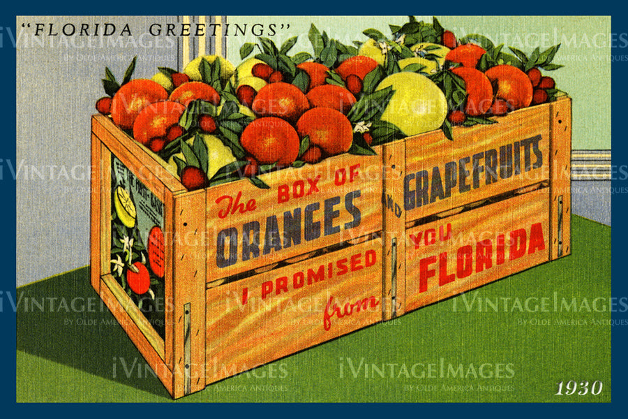 Florida Box of Oranges 1930