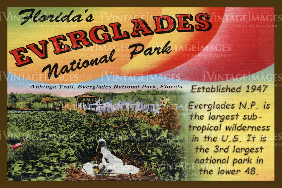 Floridas Everglades National Park 1947
