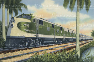 Streamline Train in Florida 1945
