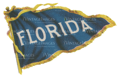 State of Florida Flag 1910