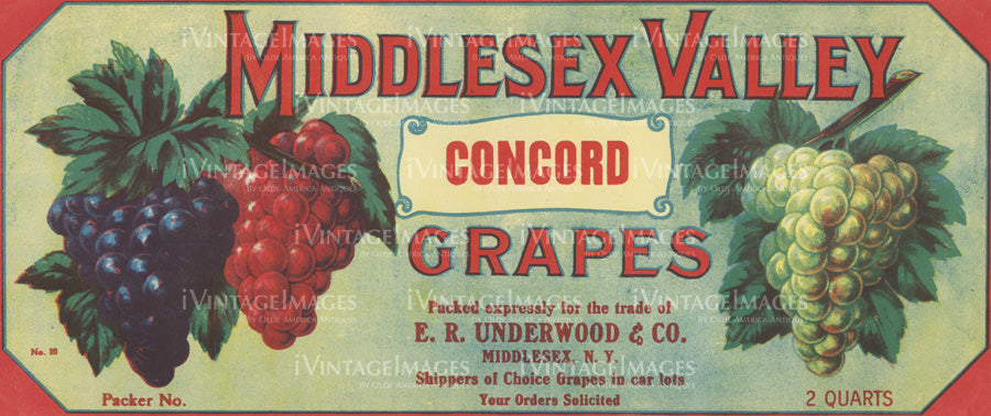 1915 Concord Grapes - 002
