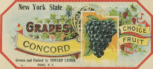 1915 Concord Grapes - 005