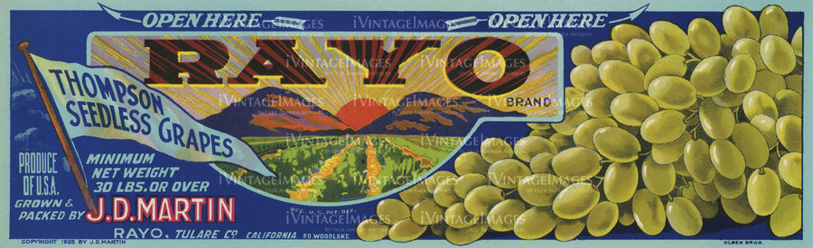 1925 Seedless Grapes - 008