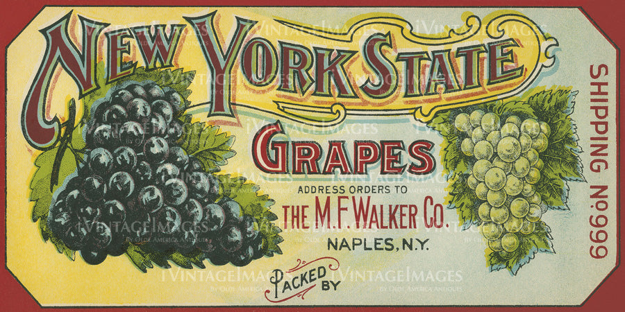 1915 Table Grapes - 011