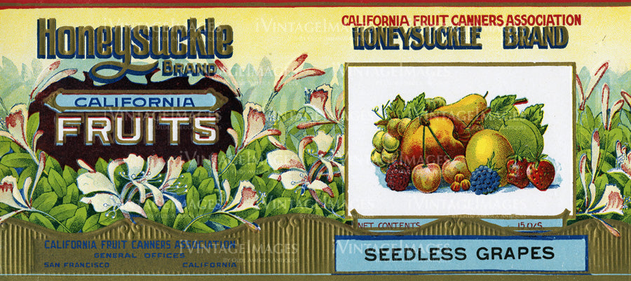 1925 Seedless Grapes -14