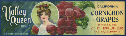 1925 Cornichon Grapes -017