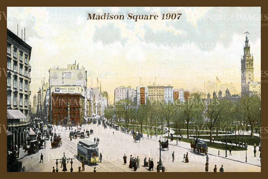 Madison Square 1907