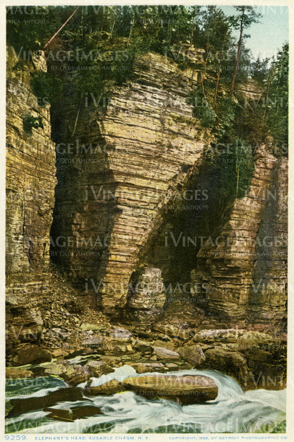 Elephant's Head Ausable Chasm 1905