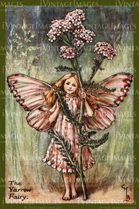 Cicely Barker 1923 - 2 - The Yarrow Fairy