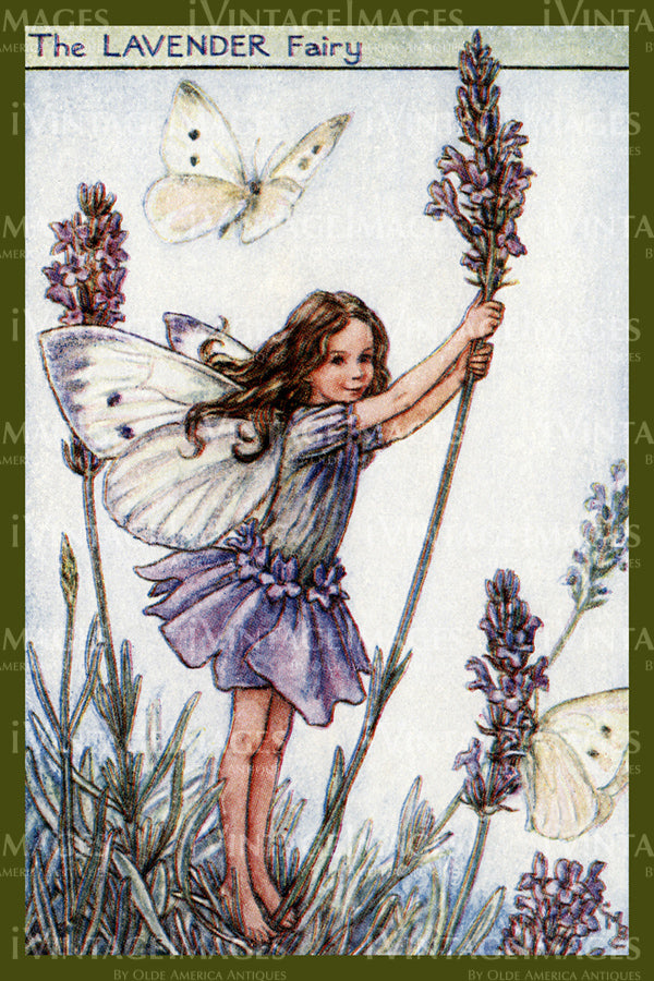 Cicely Barker 1923 - 6 - The Lavender Fairy
