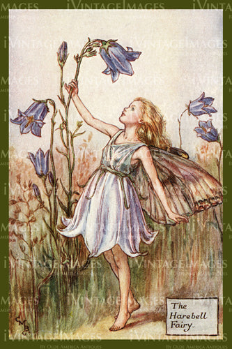 Cicely Barker 1923 - 7 - The Harebell Fairy