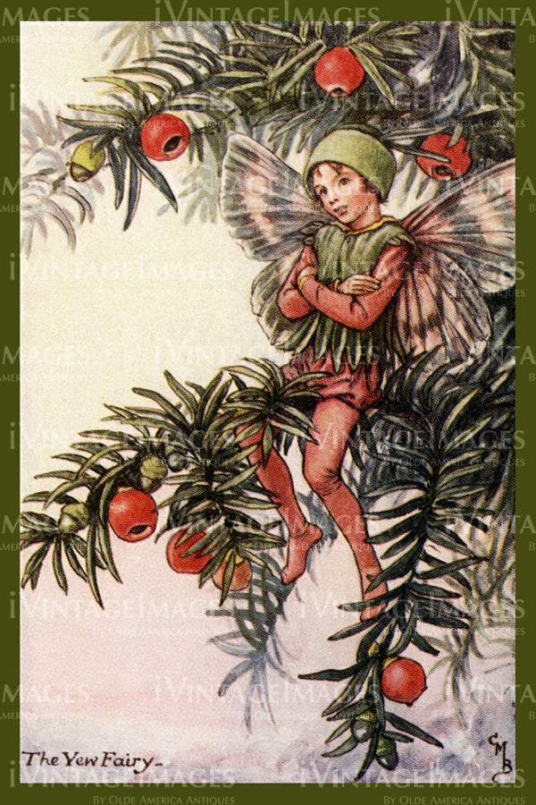 Cicely Barker 1923 - 11 - The Yew Fairy