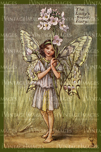 Cicely Barker 1923 - 14 - The Ladys Smock Fairy
