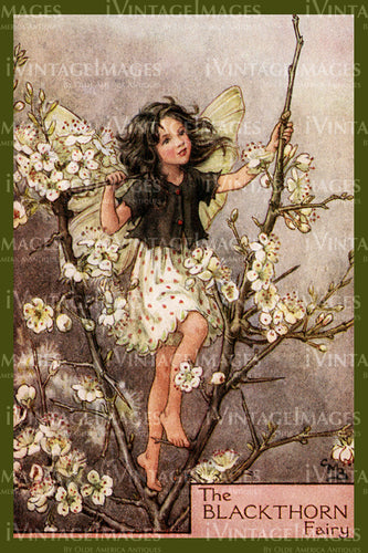 Cicely Barker 1923 - 15 - The Blackthorn Fairy