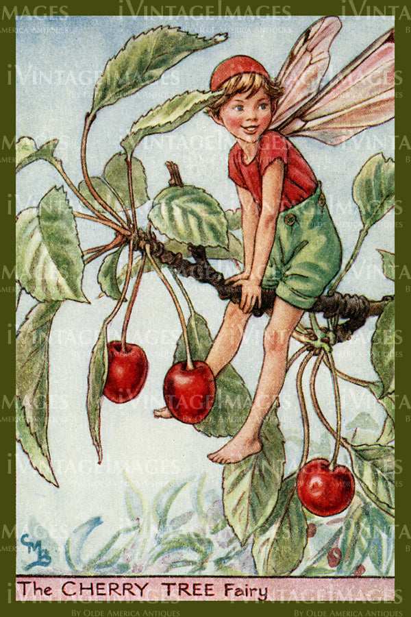 Cicely Barker 1923 - 17 - The Cherry Tree Fairy