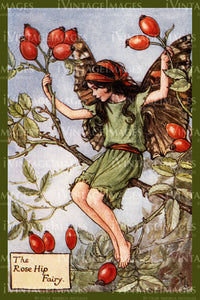 Cicely Barker 1923 - 18 - The Rose Hip Fairy