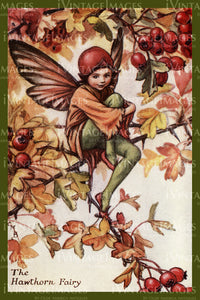 Cicely Barker 1923 - 21 - The Hawthorn Fairy