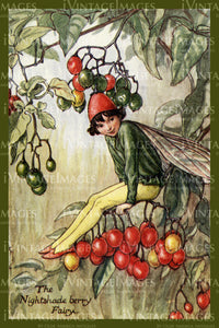 Cicely Barker 1923 - 23 - The Nightshade Berry Fairy