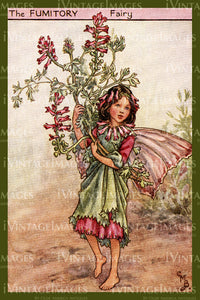 Cicely Barker 1923 - 31 - The Fumitory Fairy