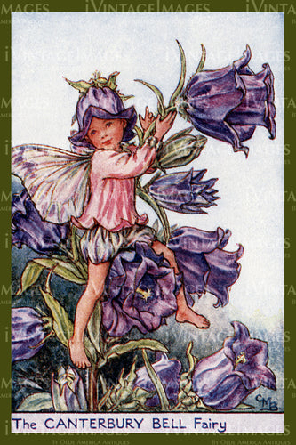 Cicely Barker 1923 - 33 - The Canterbury Bell Fairy