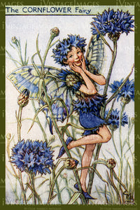 Cicely Barker 1923 - 34 - The Cornflower Fairy