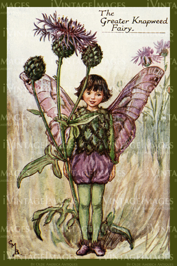 Cicely Barker 1923 - 36 - The Greater Knapweed Fairy