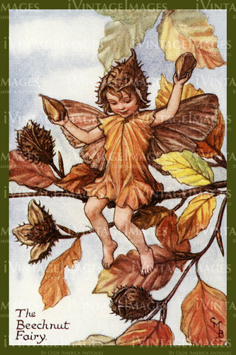 Cicely Barker 1923 - 37 - The Beechnut Fairy